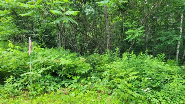 $400,000 | Gill Terrace, Ludlow, VT 05149