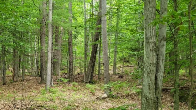 $400,000 | Gill Terrace, Ludlow, VT 05149