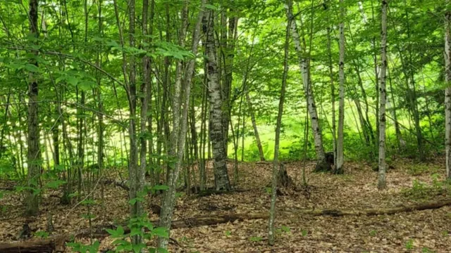 $400,000 | Gill Terrace, Ludlow, VT 05149