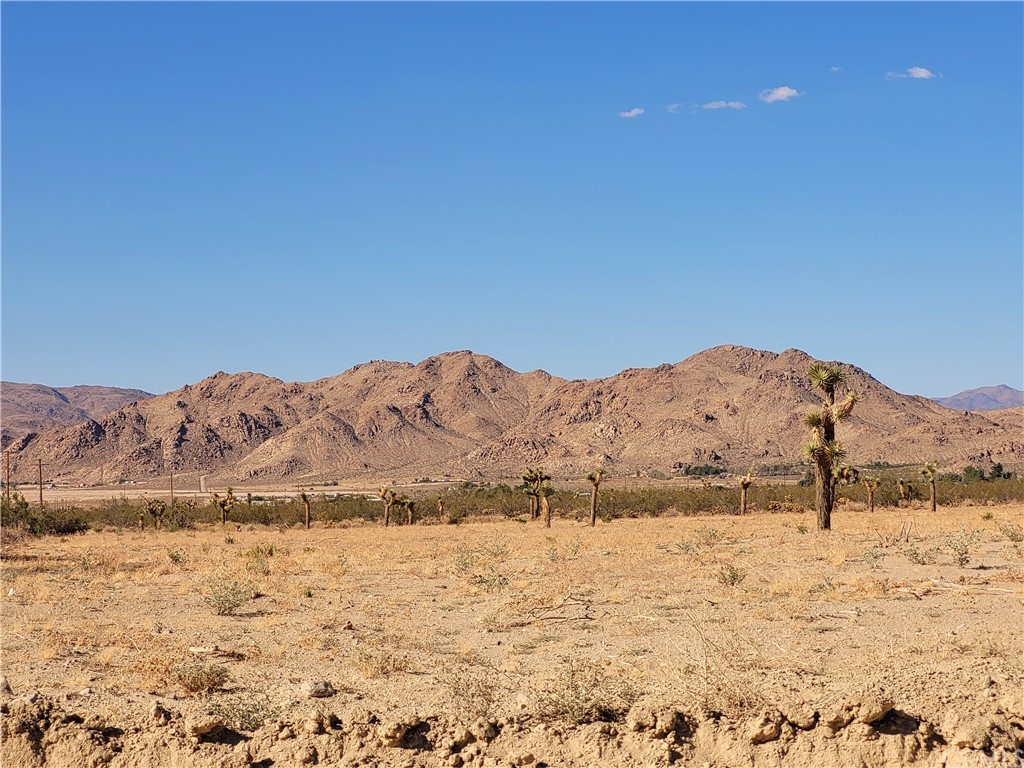 30126 Sutter Road Lucerne Valley, CA 92356 - Photo 3 of 7 a view of a snow with a mountain in the background
