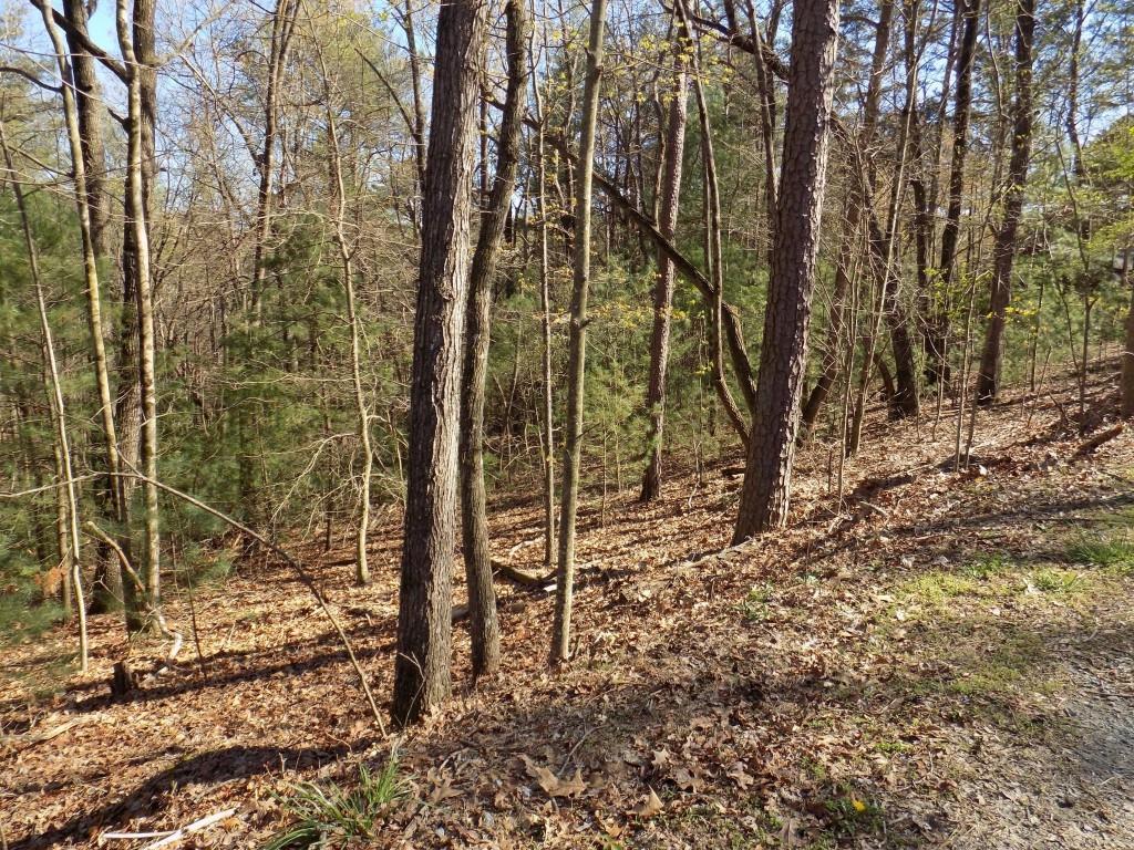 2-lots 2-lots Ridgecrest Circle Ellijay, GA 30540 - Photo 1 of 1 Gallery Image 1