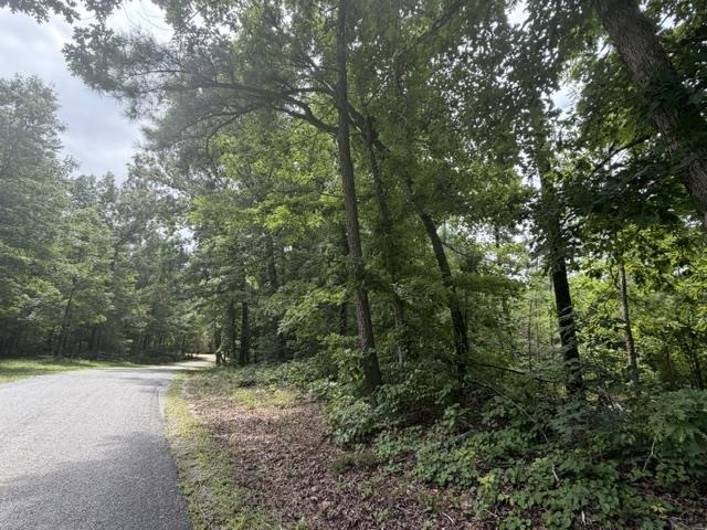 175 Duck Road Holladay, TN 38341 - Photo 18 of 26 Gallery Image 18