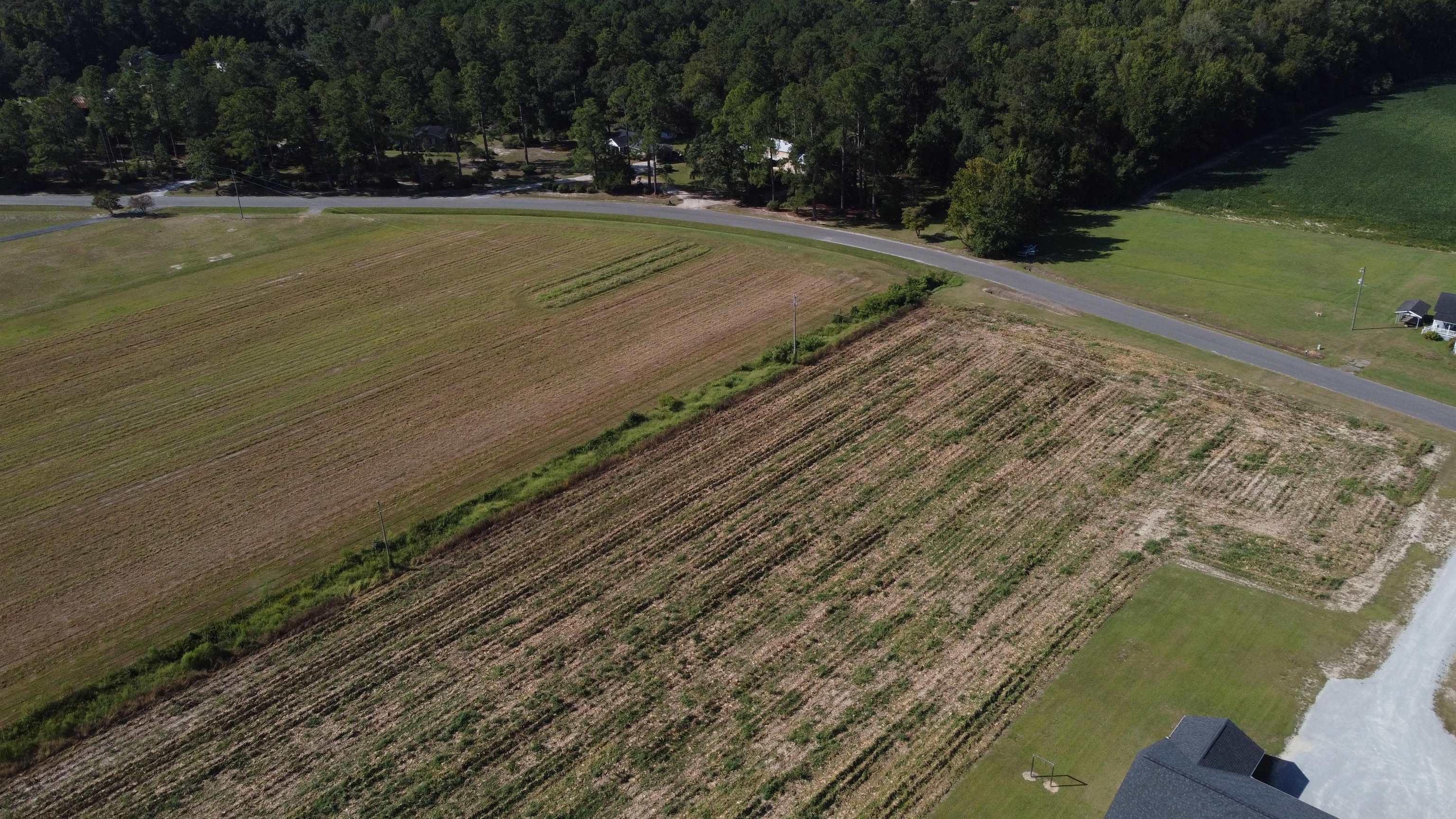 Lot 1 Mar Cap Road Galivants Ferry, SC 29544 - Photo 6 of 7 Gallery Image 6