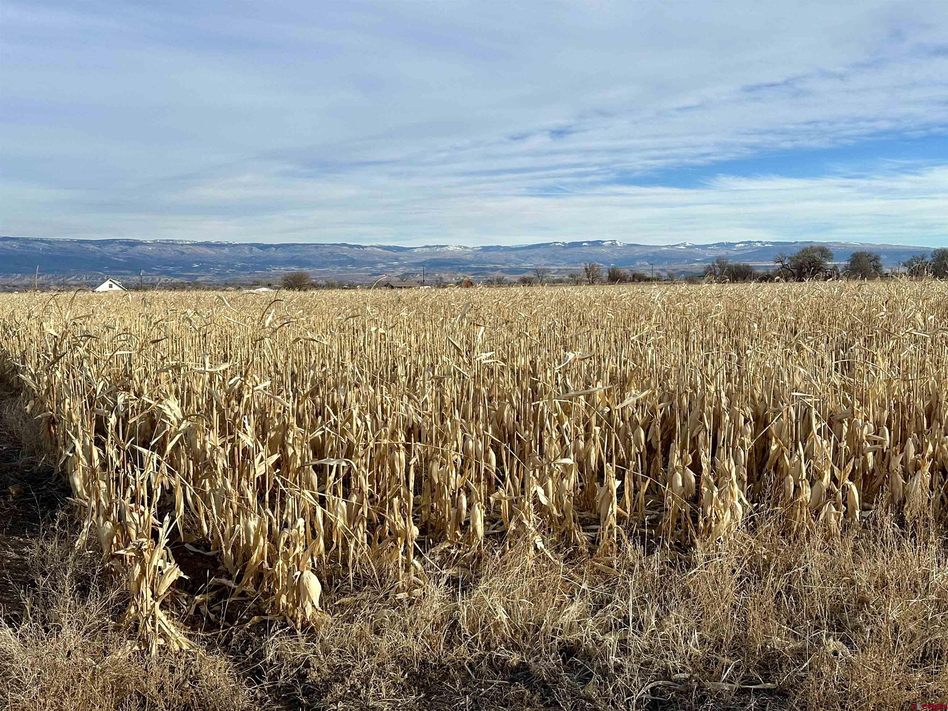 Tbd 5675 Road Delta, CO 81416 - Photo 12 of 16 Gallery Image 12