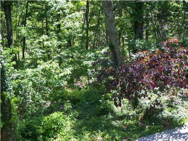 665 Brooks Forest Road Brooks, KY 40109 - Photo 20 of 20 Additional Photo