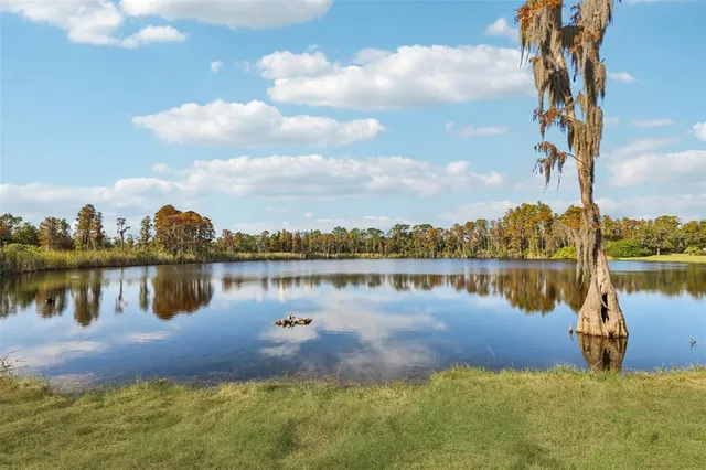$950,000 | 9107 Cypress Keep Lane, Odessa, FL 33556