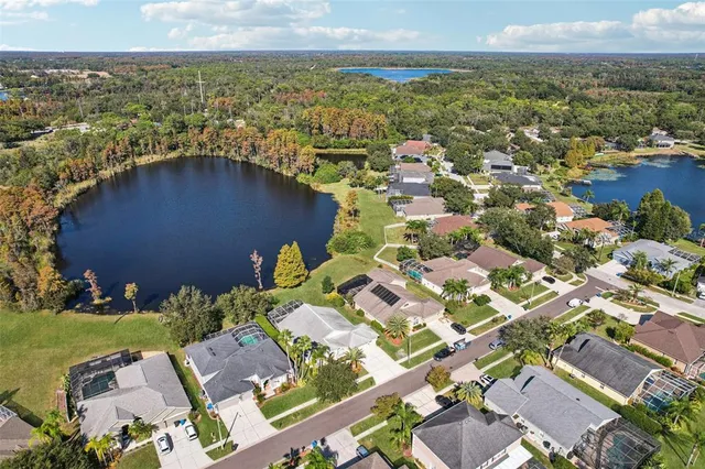 $950,000 | 9107 Cypress Keep Lane, Odessa, FL 33556