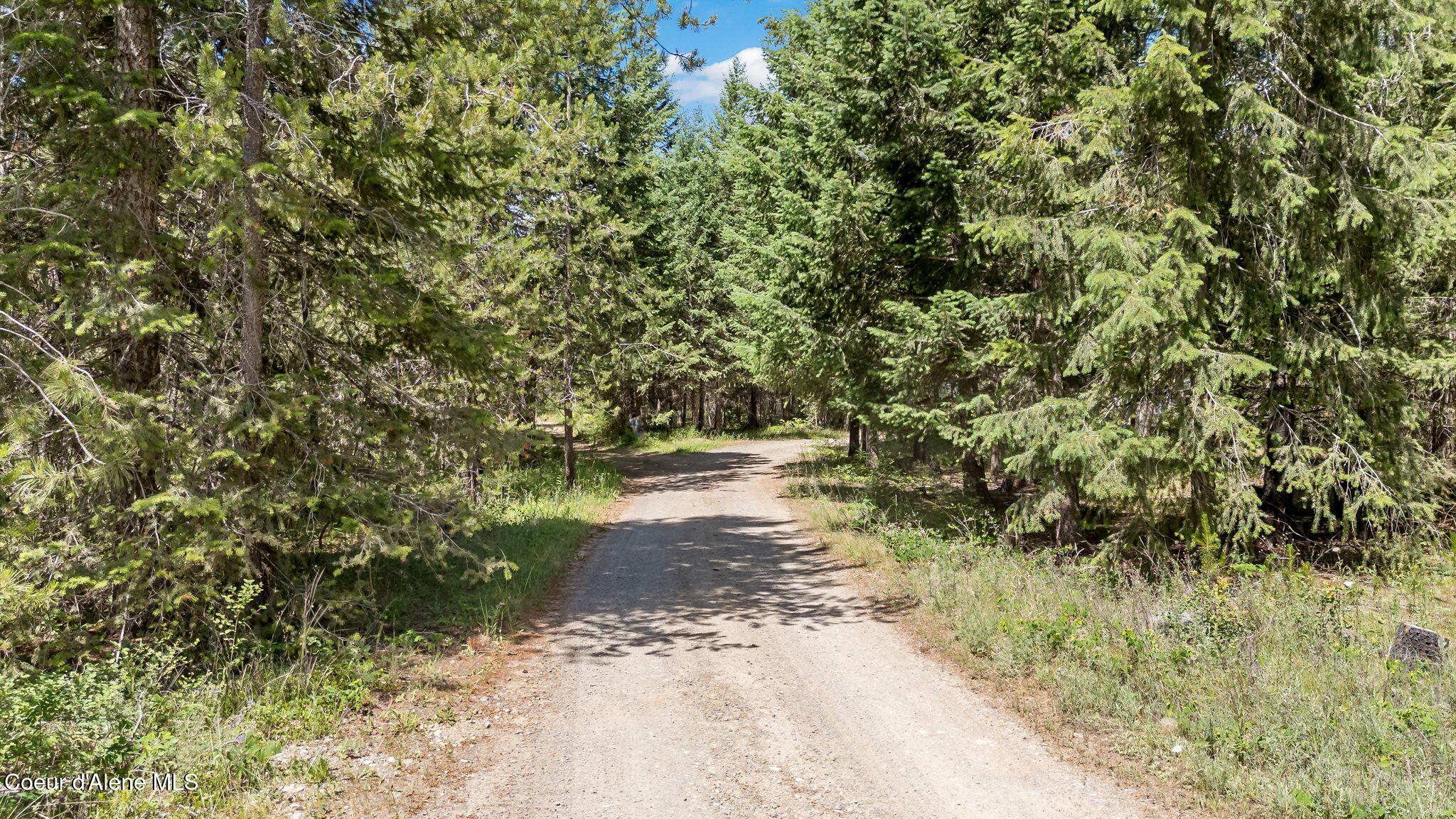 Tbd Homestead Road Athol, ID 83801 - Photo 1 of 1 IMG_4019