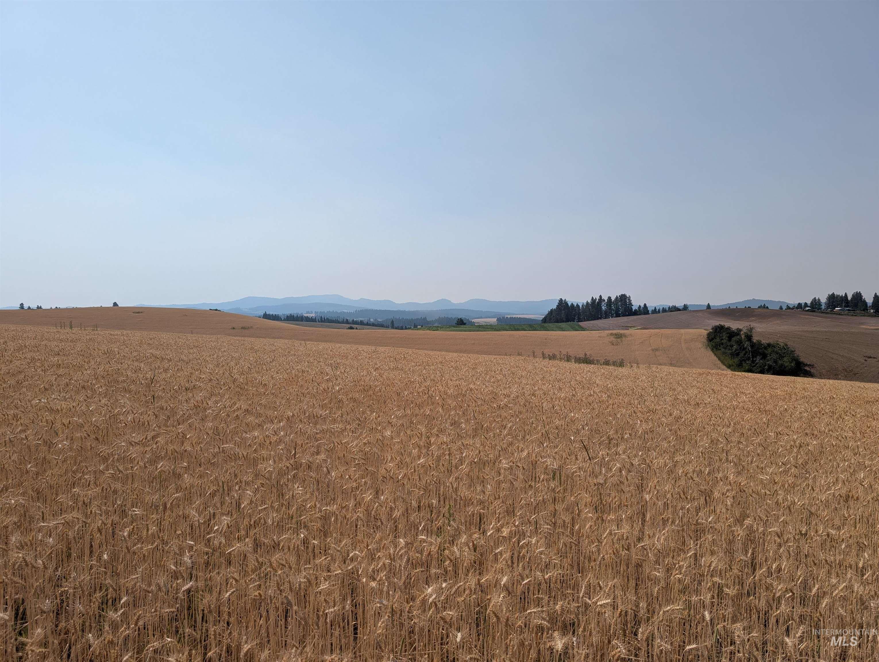 37-ac Tbd Boller Road Potlatch, ID 83855 - Photo 19 of 19 Gallery Image 19