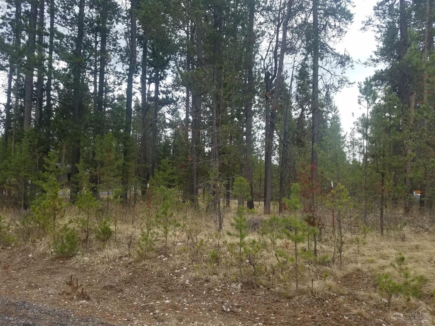 55835 Black Duck Road Bend, OR 97707 - Photo 2 of 5 Additional Photo