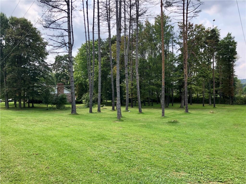719 Zehner Road Indiana, PA 15701 - Photo 3 of 14 a view of field with tall trees