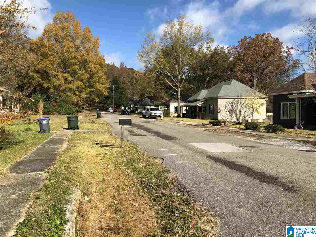 405 26th Street North Pell City, AL 35125 - Photo 3 of 32
