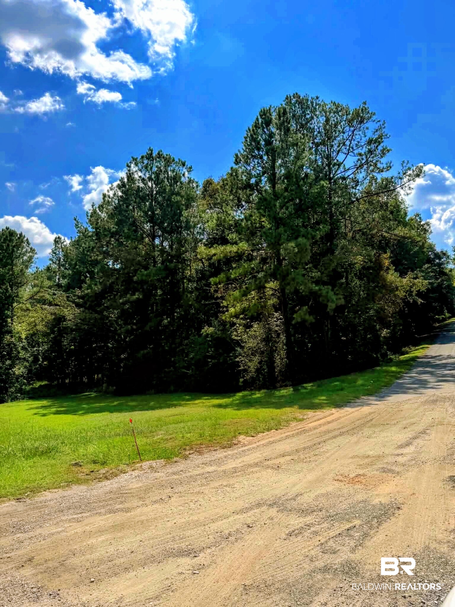 0 Pheasant Road Gilbertown, AL 36908 - Photo 31 of 31 Gallery Image 31