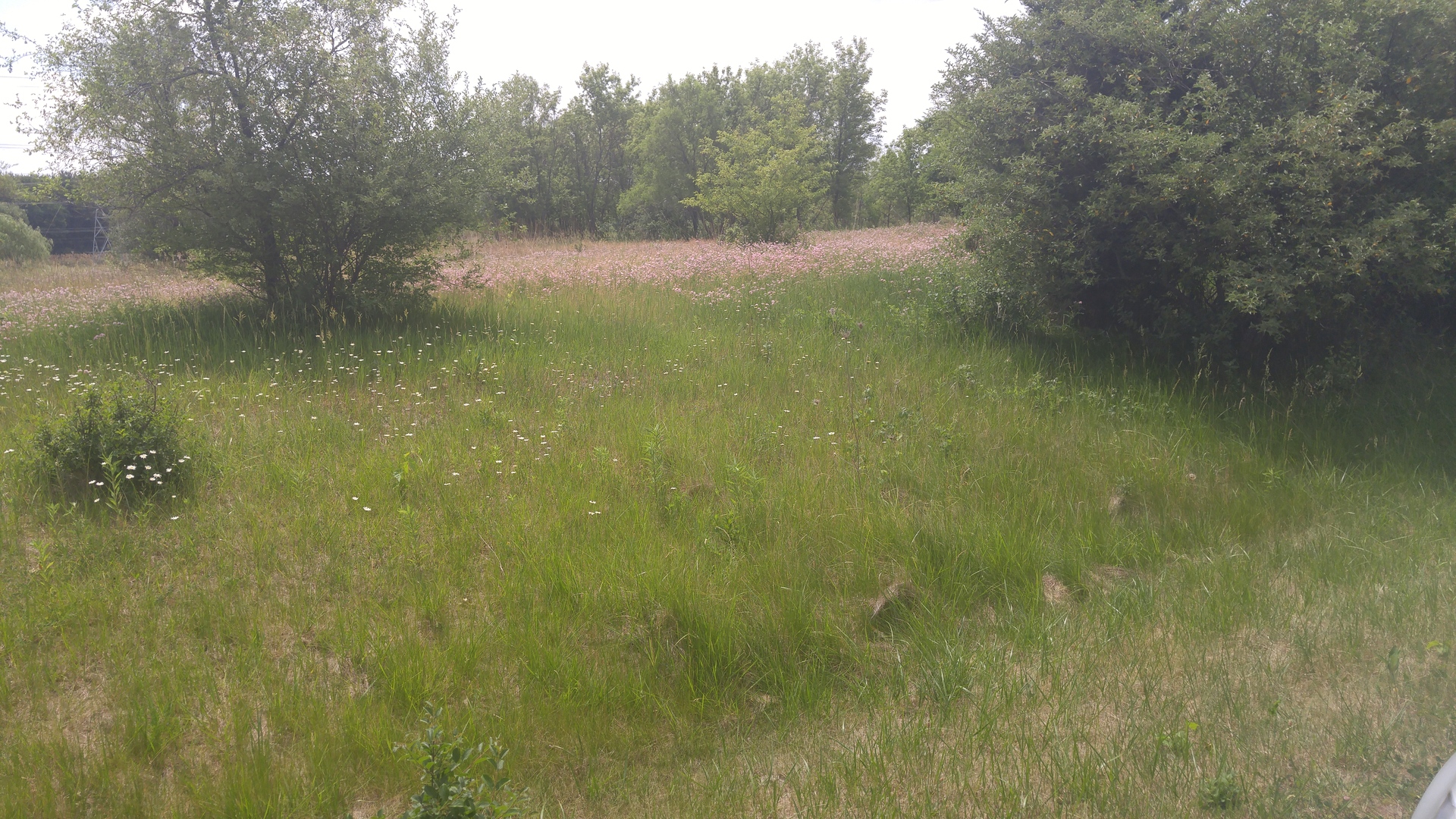 10 Little Bend Road Barrington, IL 60010 - Photo 3 of 5