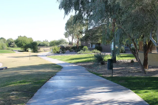 a view of a park with large trees