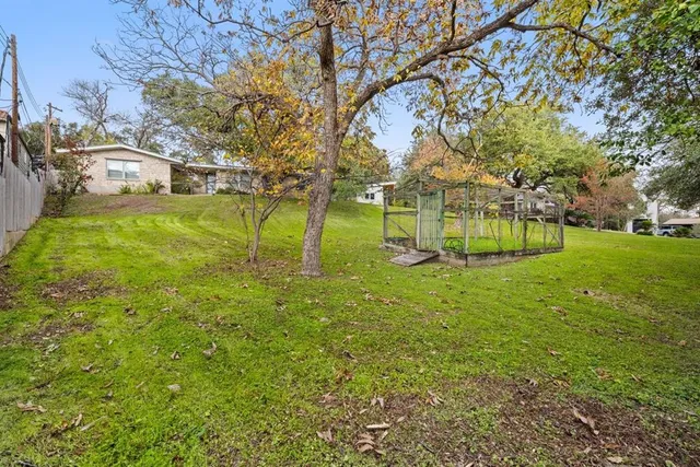 a view of a park with large trees