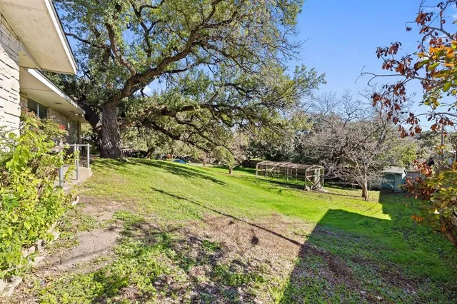 a view of a park with large trees