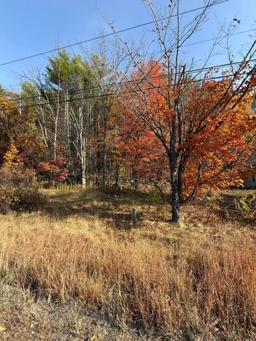 $49,000 | 4-21a Walkers Mills Road, Bethel, ME 04217