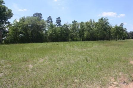 0 North Turnpike Road Covington, LA 70435 - Photo 3 of 3 Gallery Image 3