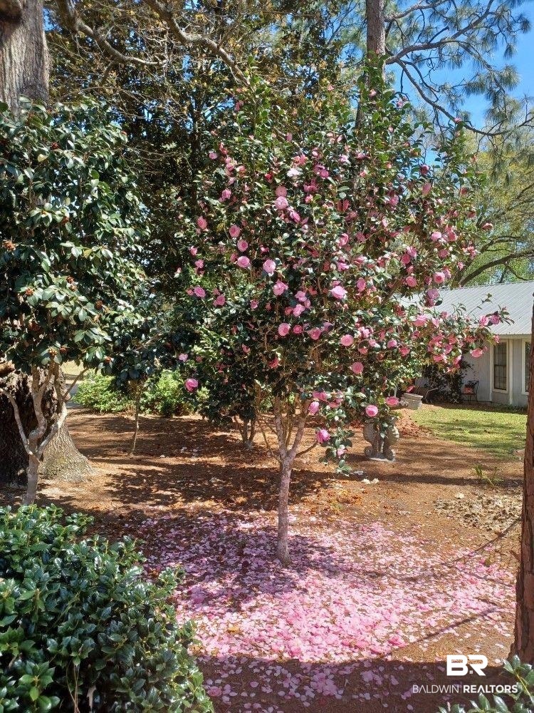 141 Hope Drive Daphne, AL 36526 - Photo 5 of 25