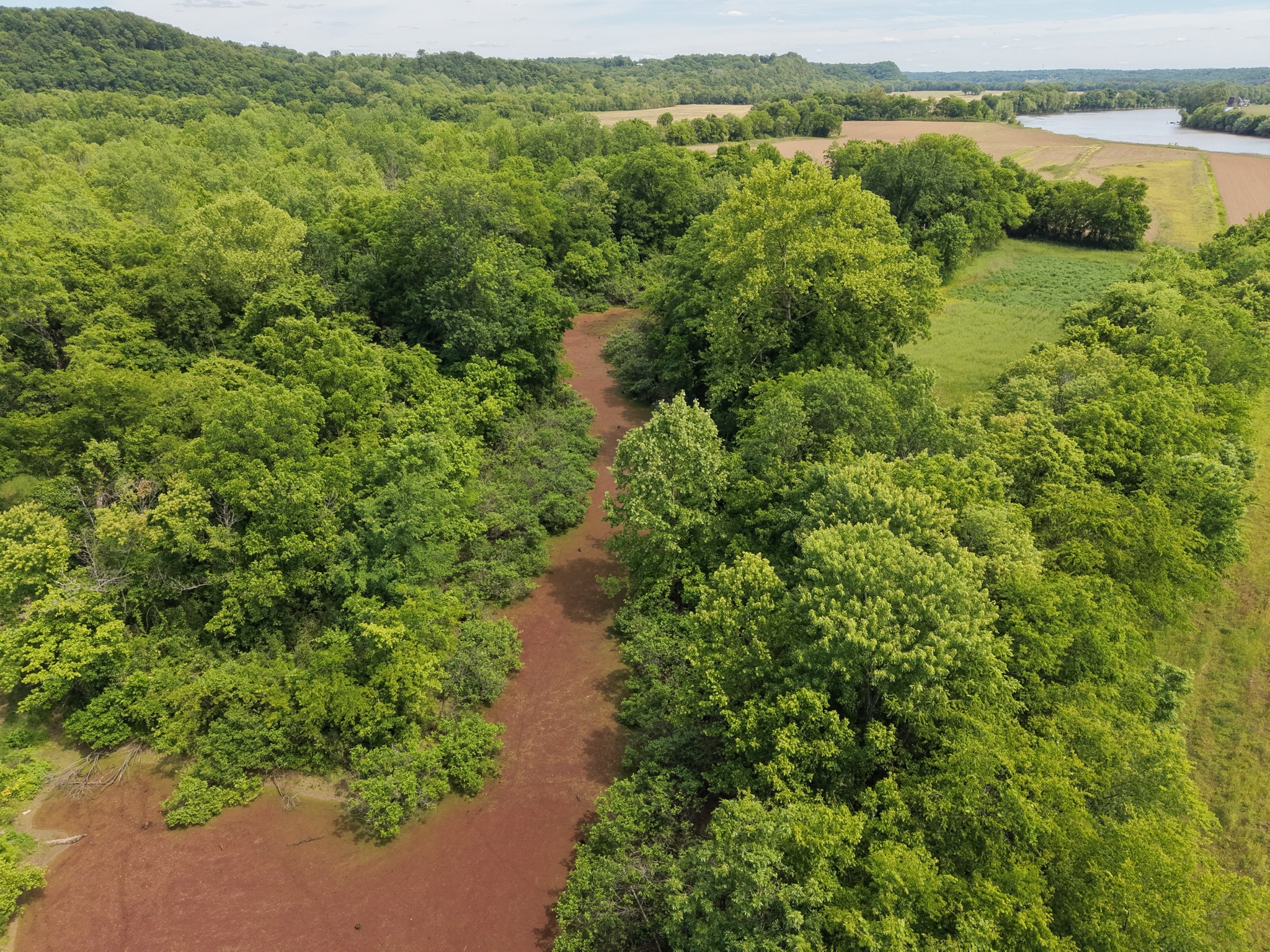 1 Neptune Road Ashland City, TN 37015 - Photo 12 of 34 Gallery Image 12