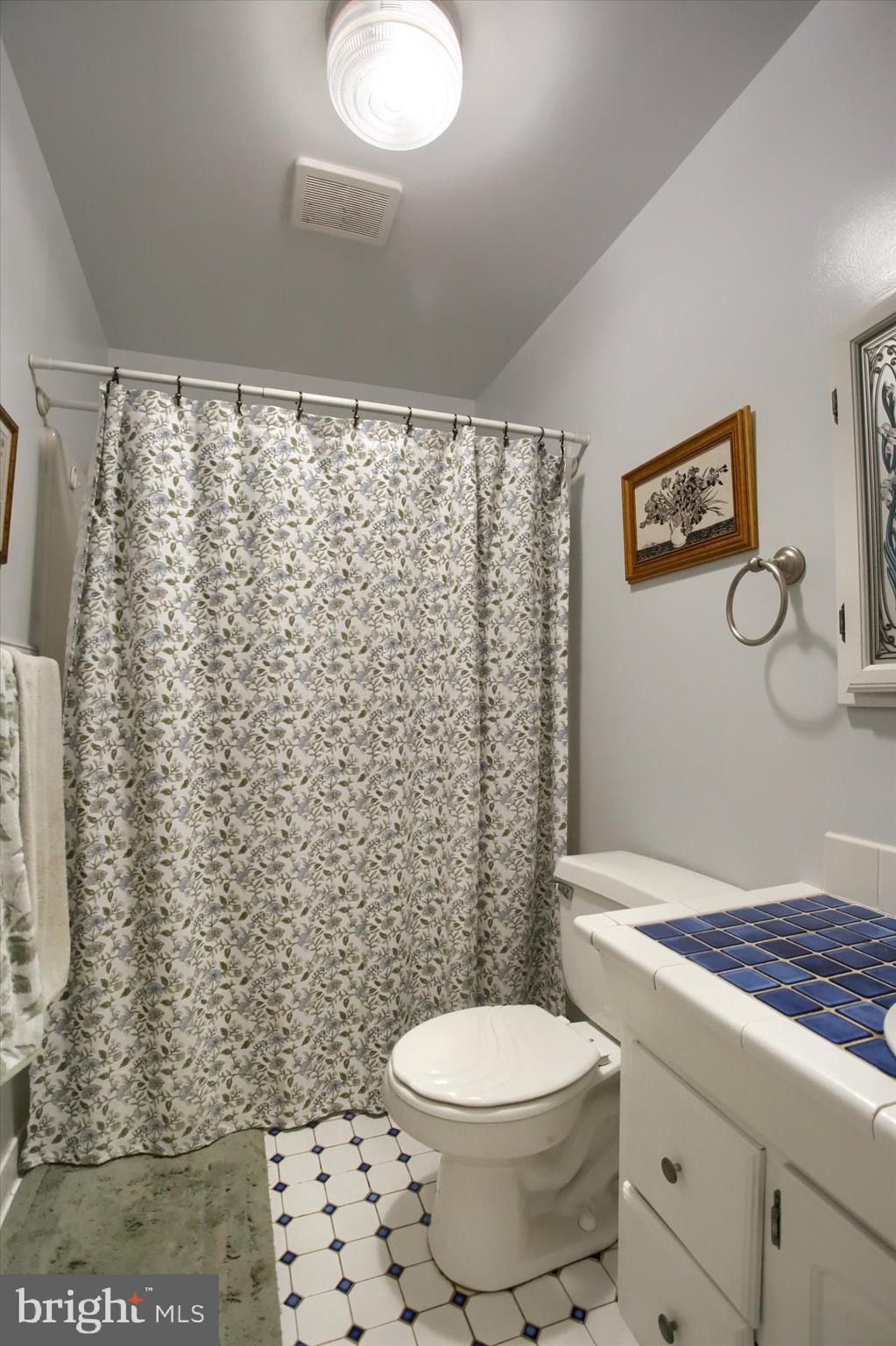 3505 Cranmere Lane York, PA 17402 - Photo 17 of 33 a bathroom with a toilet and a shower curtain