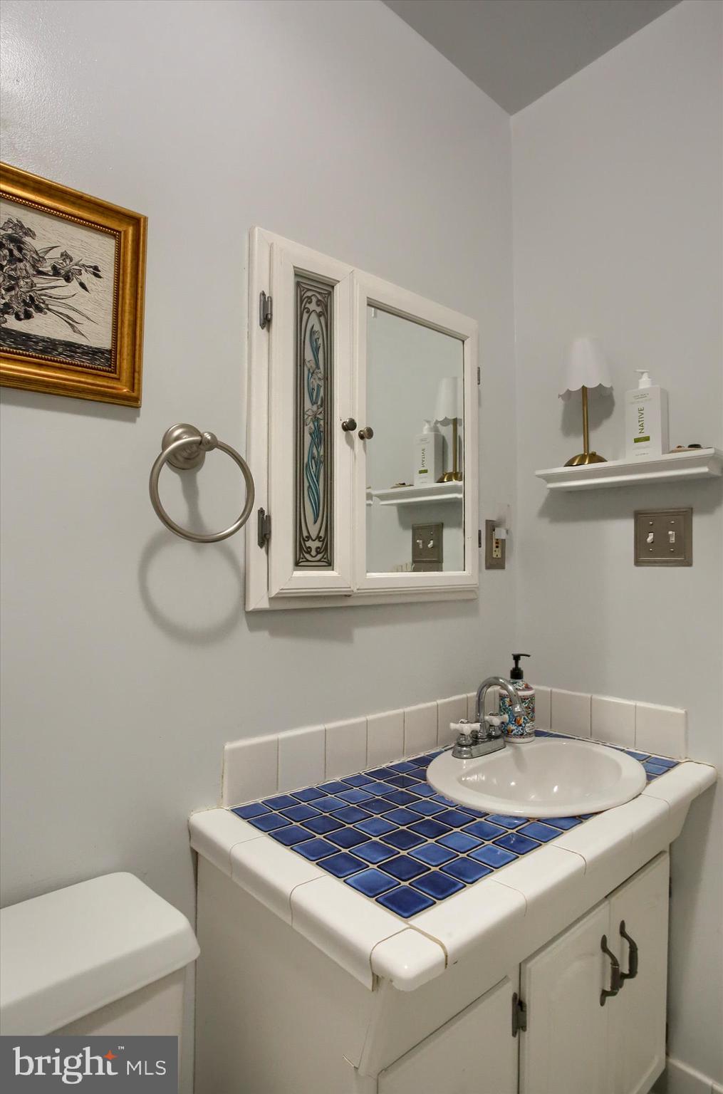 3505 Cranmere Lane York, PA 17402 - Photo 18 of 33 a bathroom with a sink a toilet and mirror