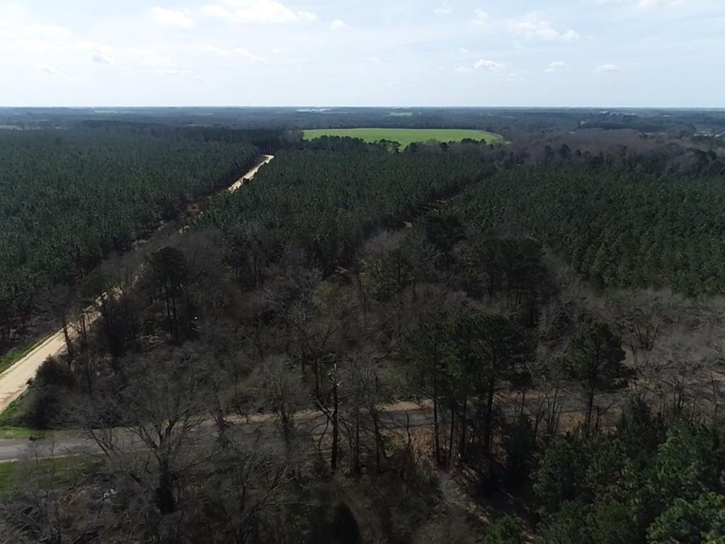 140/ Cty Road Headland, AL 36345 - Photo 30 of 33