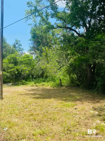 $7,500 | 421 West Foch Street, Mobile, AL 36610