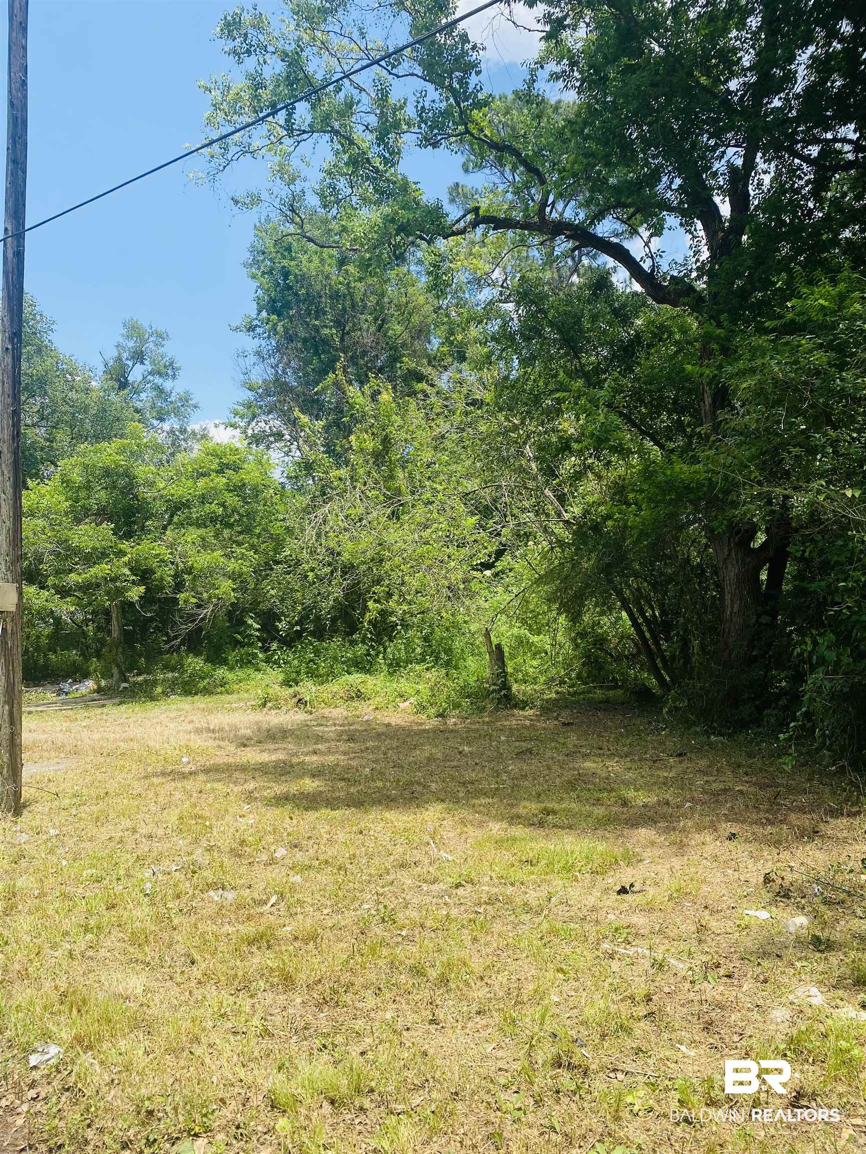 421 West Foch Street Mobile, AL 36610 - Photo 1 of 13