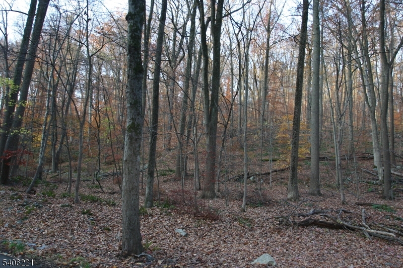 0 Sweet Hollow Road Milford, NJ 08848 - Photo 10 of 14