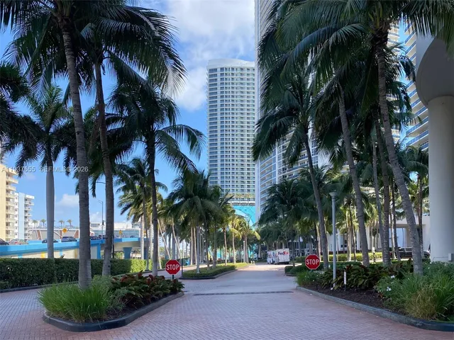 a view of a palm trees in a backyard