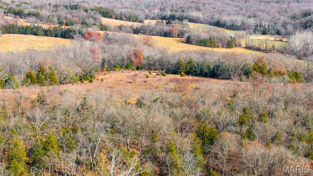 9022 County Road 469 Portland, MO 65067 - Photo 11 of 94