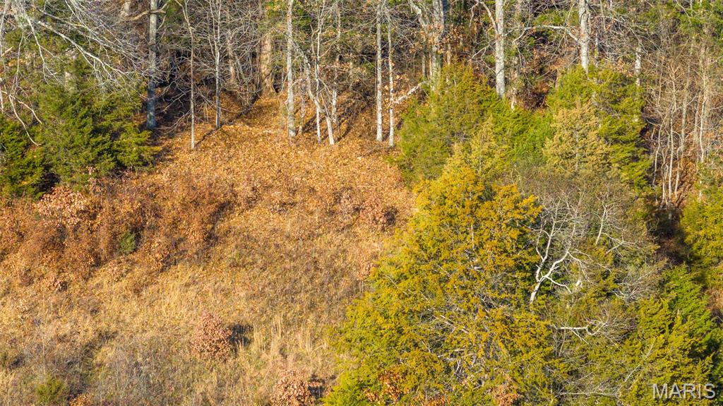 9022 County Road 469 Portland, MO 65067 - Photo 18 of 94