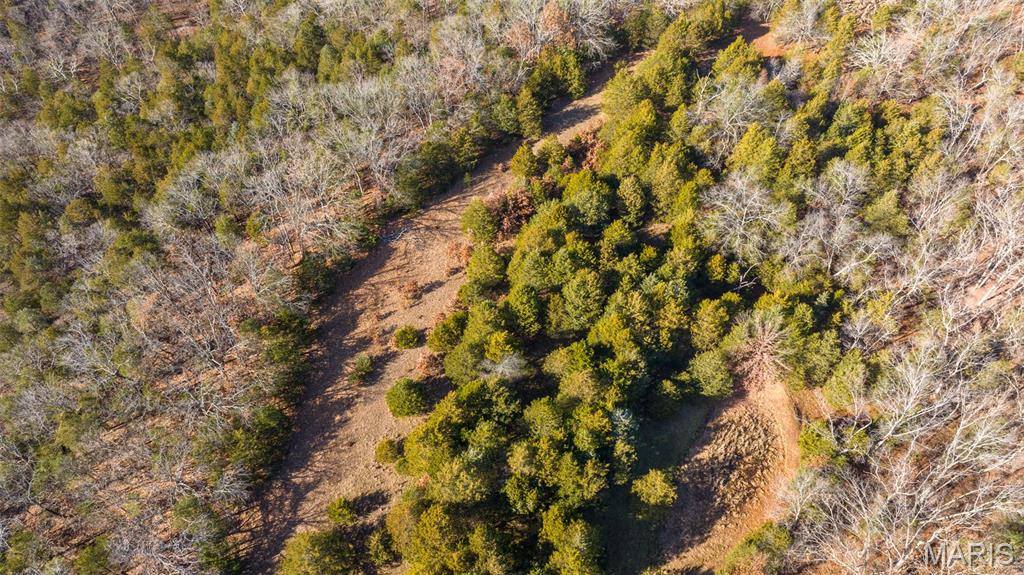 9022 County Road 469 Portland, MO 65067 - Photo 20 of 94