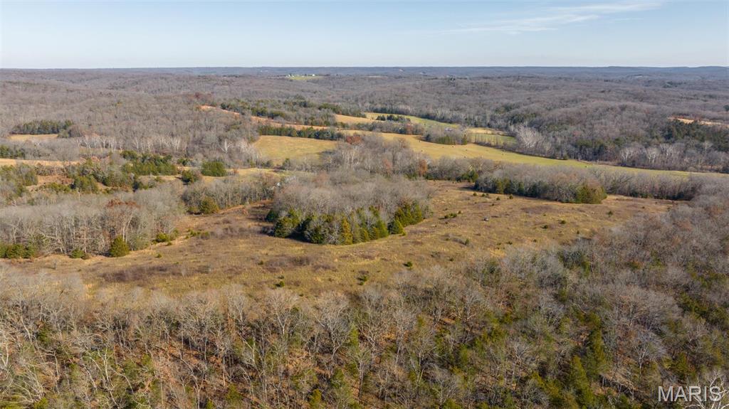 9022 County Road 469 Portland, MO 65067 - Photo 22 of 94