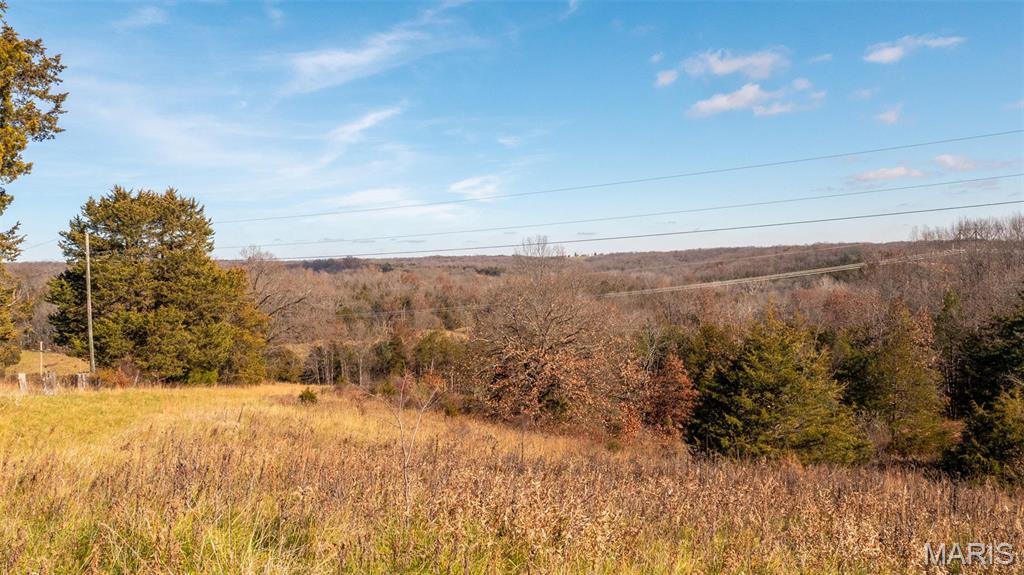 9022 County Road 469 Portland, MO 65067 - Photo 40 of 94