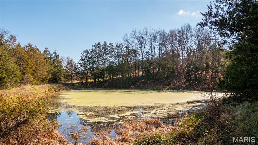 9022 County Road 469 Portland, MO 65067 - Photo 41 of 94