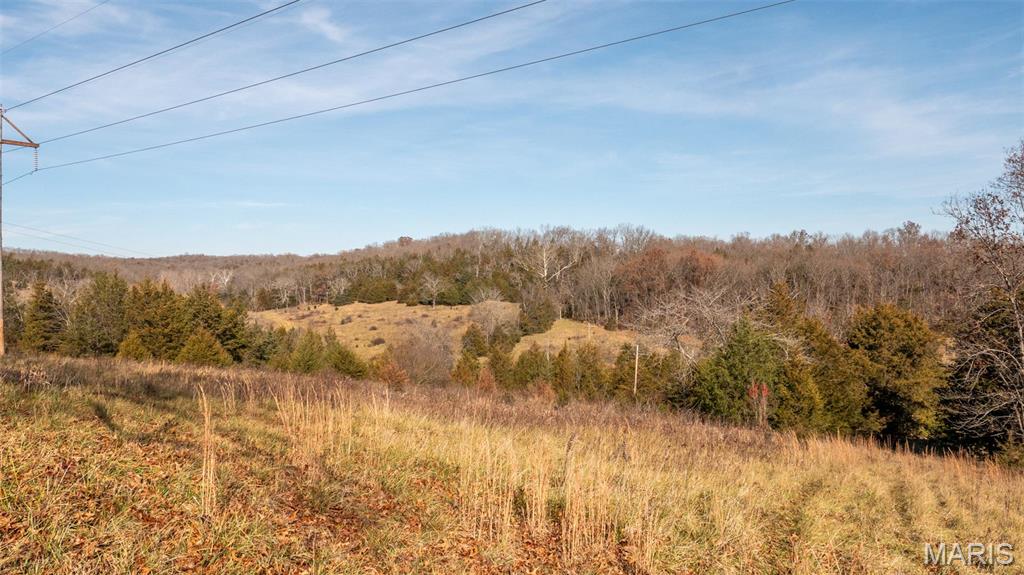 9022 County Road 469 Portland, MO 65067 - Photo 42 of 94