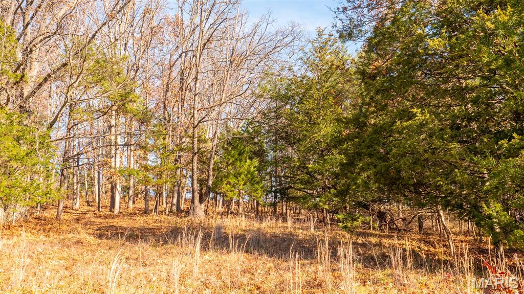 9022 County Road 469 Portland, MO 65067 - Photo 50 of 94