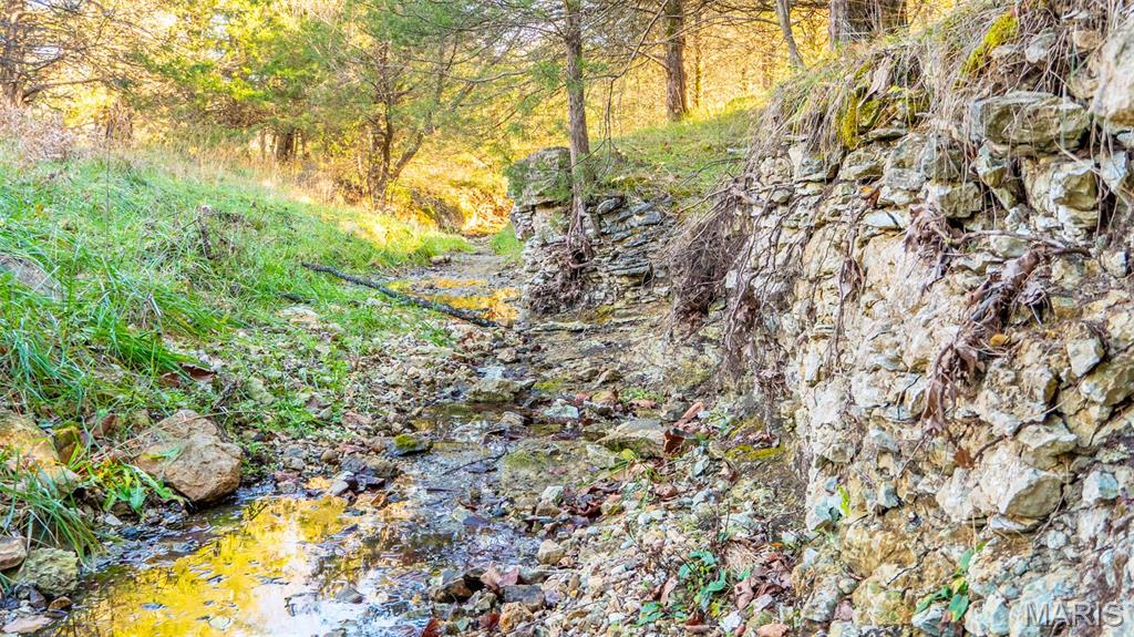 9022 County Road 469 Portland, MO 65067 - Photo 5 of 94