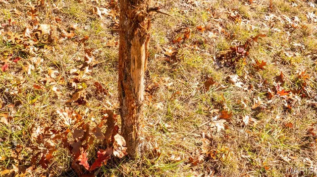 $849,000 | 9022 County Road 469, Portland, MO 65067