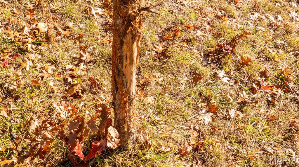 9022 County Road 469 Portland, MO 65067 - Photo 51 of 94