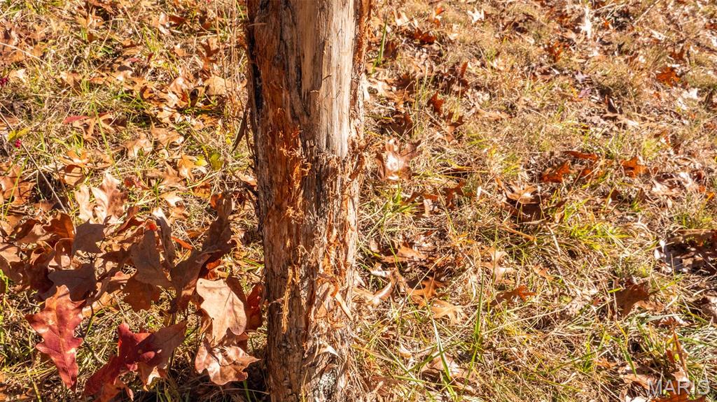 9022 County Road 469 Portland, MO 65067 - Photo 52 of 94