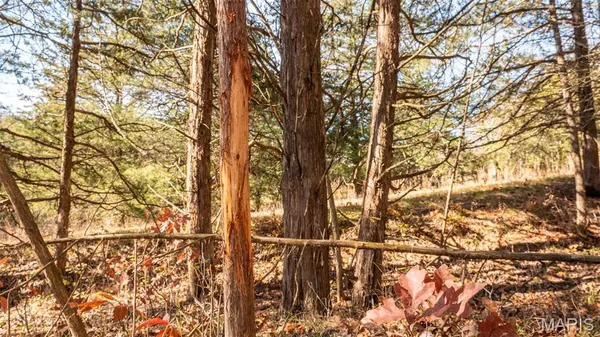 $849,000 | 9022 County Road 469, Portland, MO 65067