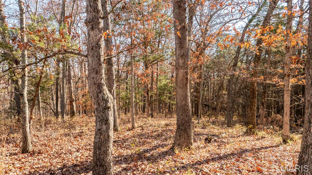 9022 County Road 469 Portland, MO 65067 - Photo 54 of 94