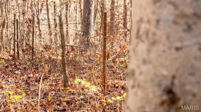 $849,000 | 9022 County Road 469, Portland, MO 65067