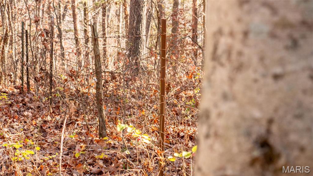 9022 County Road 469 Portland, MO 65067 - Photo 56 of 94