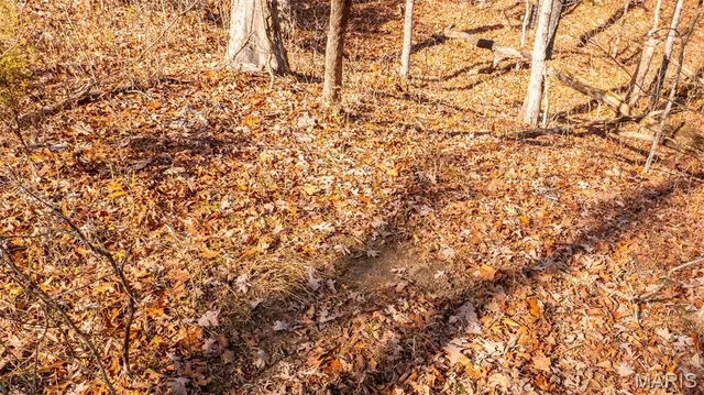 $849,000 | 9022 County Road 469, Portland, MO 65067