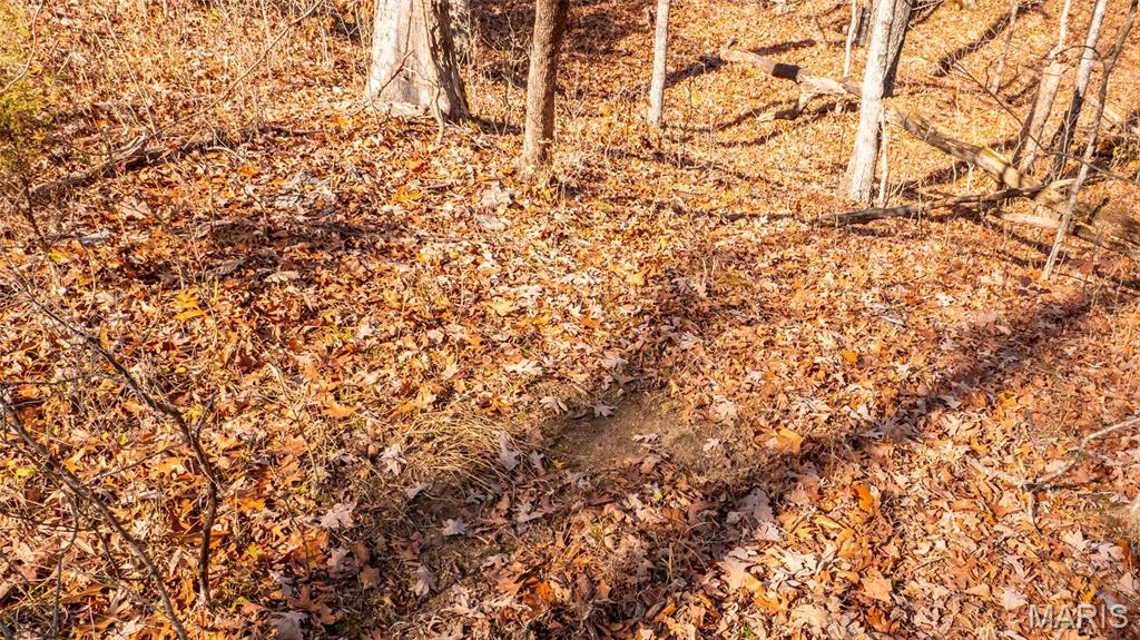 9022 County Road 469 Portland, MO 65067 - Photo 58 of 94